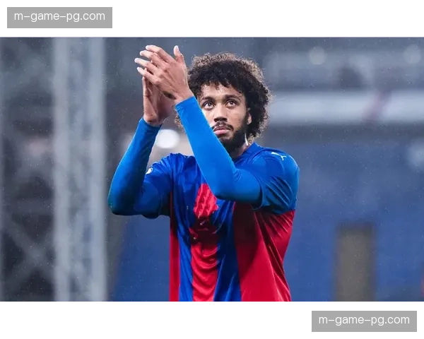 利兹联33轮42进球49失球，升班马攻防两端均处联赛下游水平